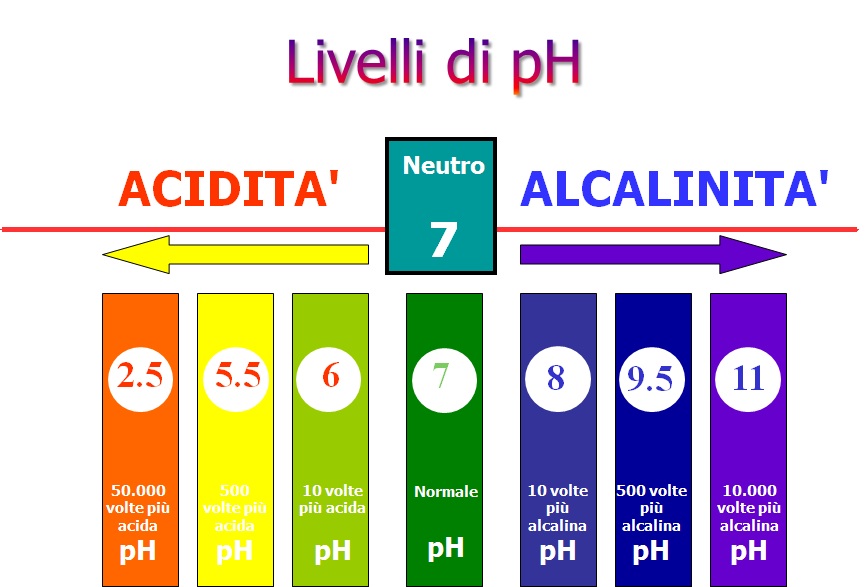 acidita ph1